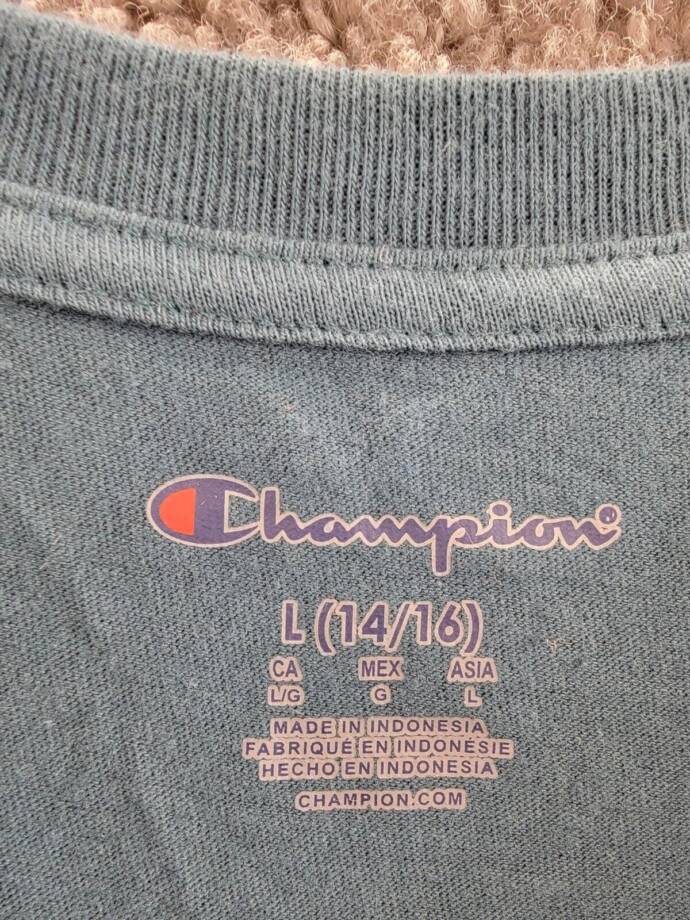 Champion Long-Sleeve T-Shirt Big Boys L 14/16 Metallic Teal Crew Neck Pullover