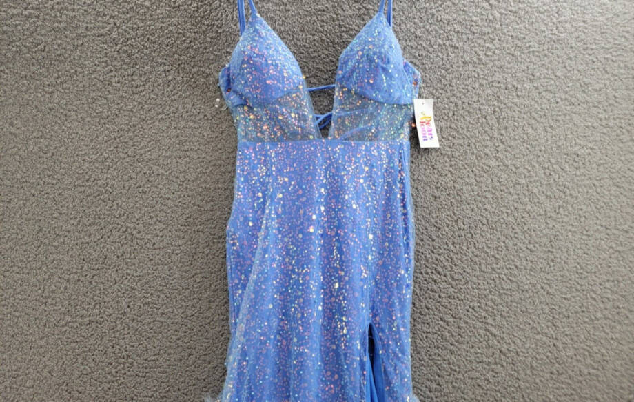 Dear Moon Embellished Illusion-Corset Feather-Skirt Gown Juniors 0 Blue Lace Zip