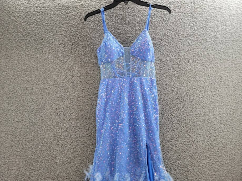 Dear Moon Embellished Illusion-Corset Feather-Skirt Gown Juniors 3 Periwinkle