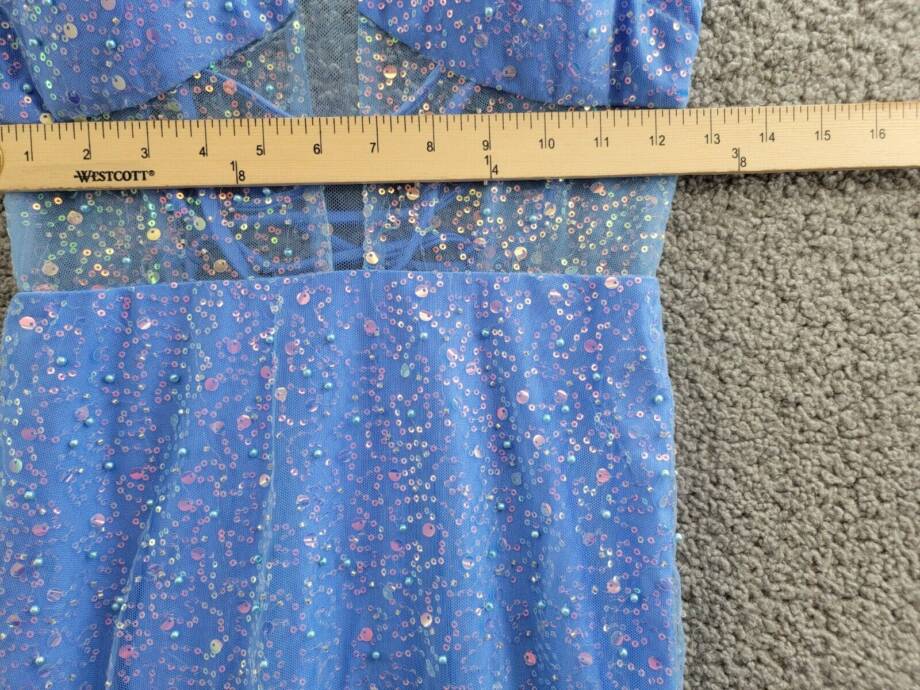 Dear Moon Embellished Illusion-Corset Feather-Skirt Gown Juniors 3 Periwinkle