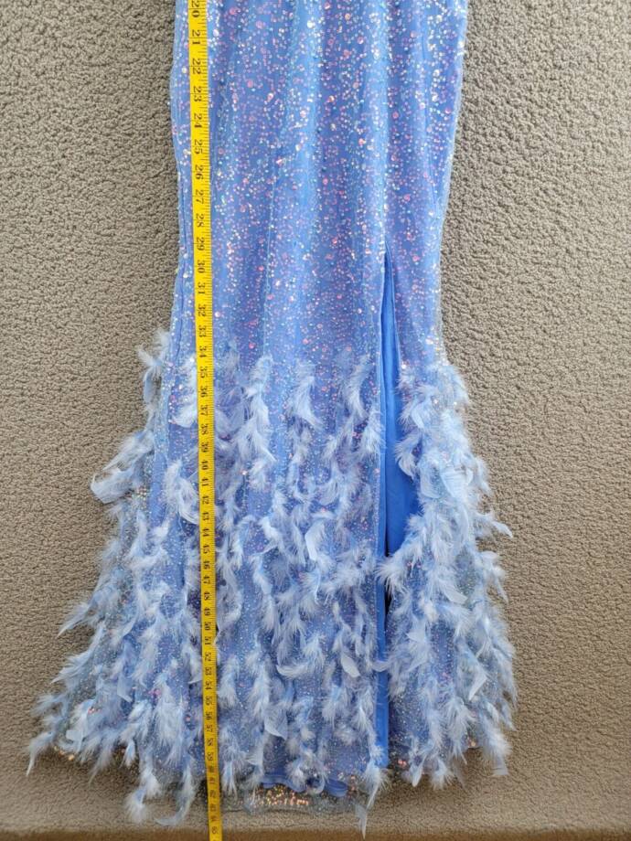 Dear Moon Embellished Illusion-Corset Feather-Skirt Gown Juniors 3 Periwinkle
