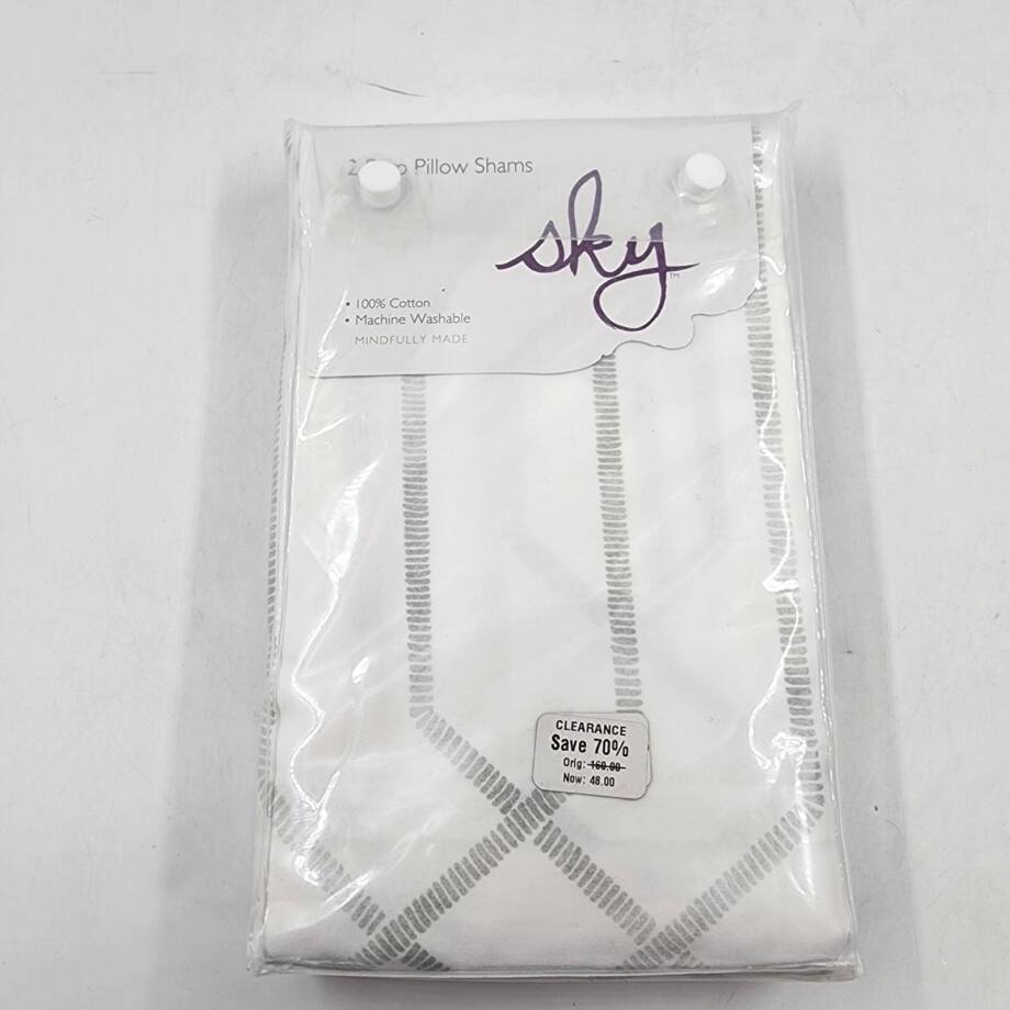 Sky Textured Trellis 2 Euro Pillow Shams 26 in x 26 in Gray