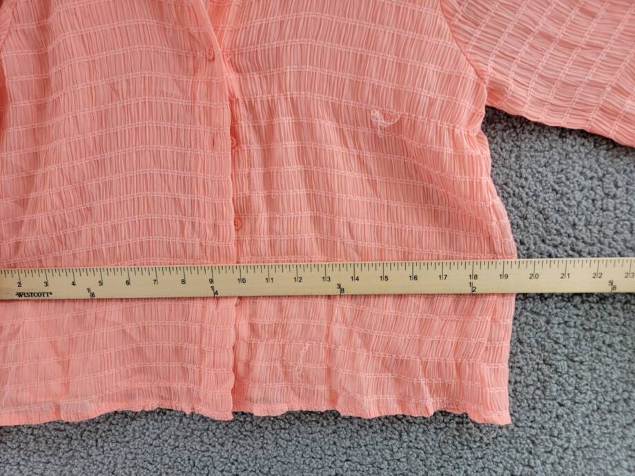 Calvin Klein Long Sleeve Textured Chiffon Blouse Women's XS Peach Button Front