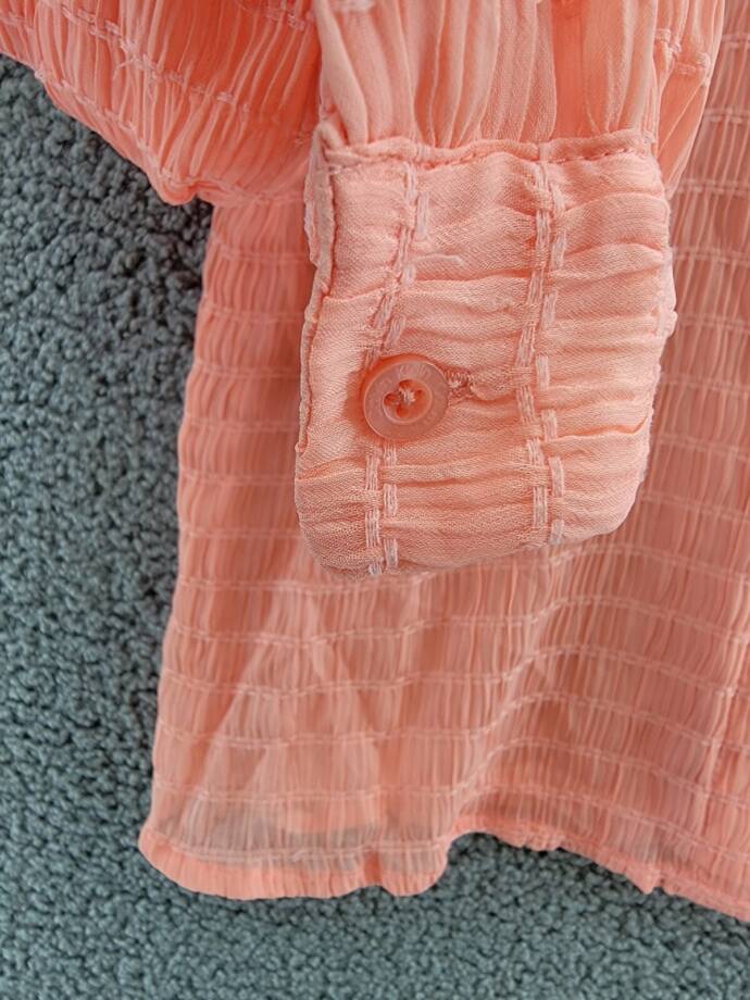 Calvin Klein Long Sleeve Textured Chiffon Blouse Women's XS Peach Button Front