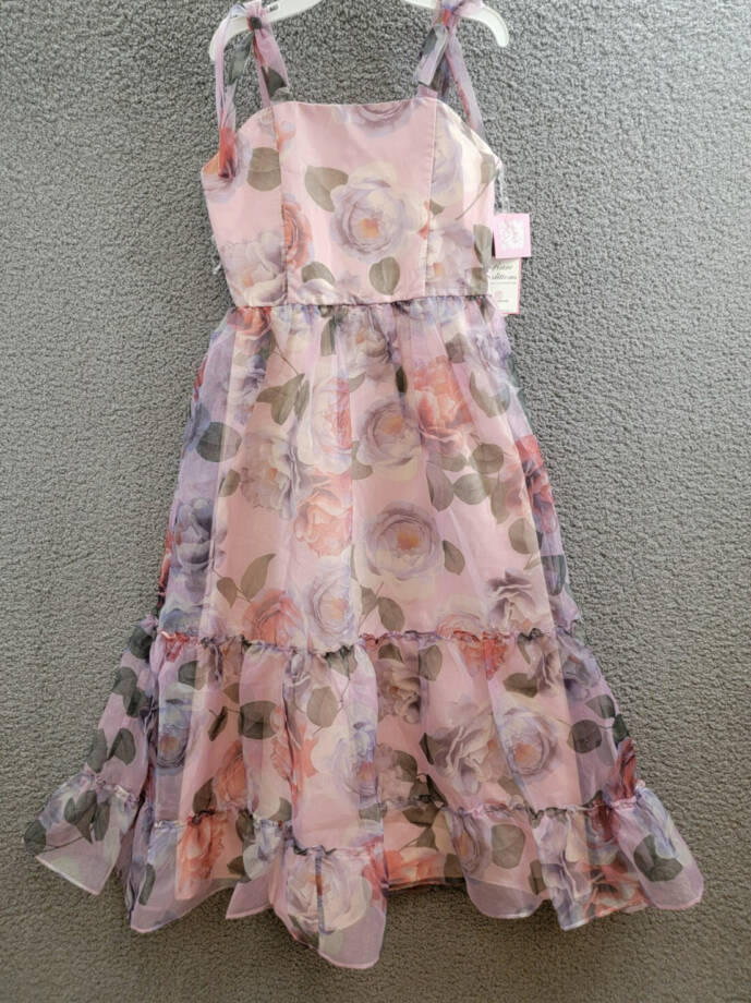 Rare Editions Floral-Print Organza Maxi Dress Big Girls' 16 Lavender Back Zip