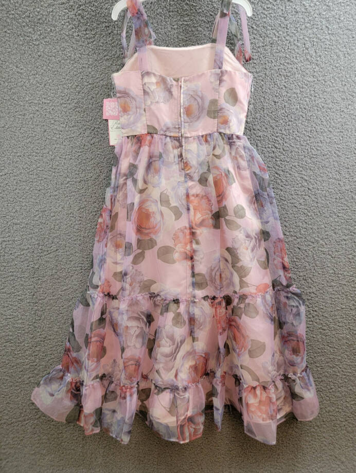 Rare Editions Floral-Print Organza Maxi Dress Big Girls' 16 Lavender Back Zip