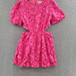 WAYF Plaza Lace Mini Dress Women's M Magenta Back Zip Closure Short Sleeves