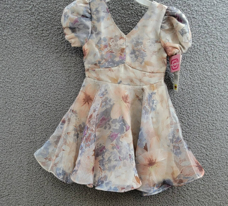 Rare Editions Floral Organza Social Dress Big Girls 7 Taupe Back Zip Closure