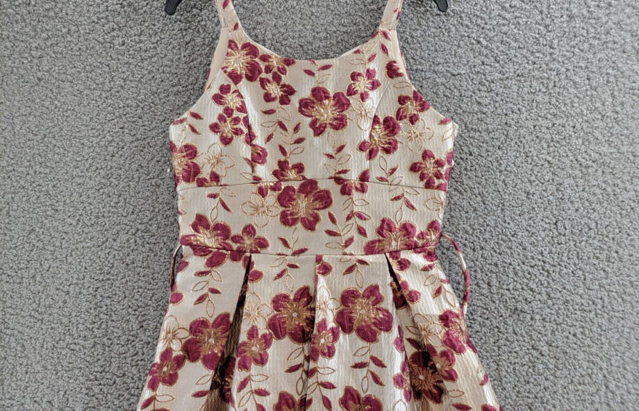 Speechless Floral Fit & Flare Dress Girls 16 Champagne Burgundy Zip Closure~