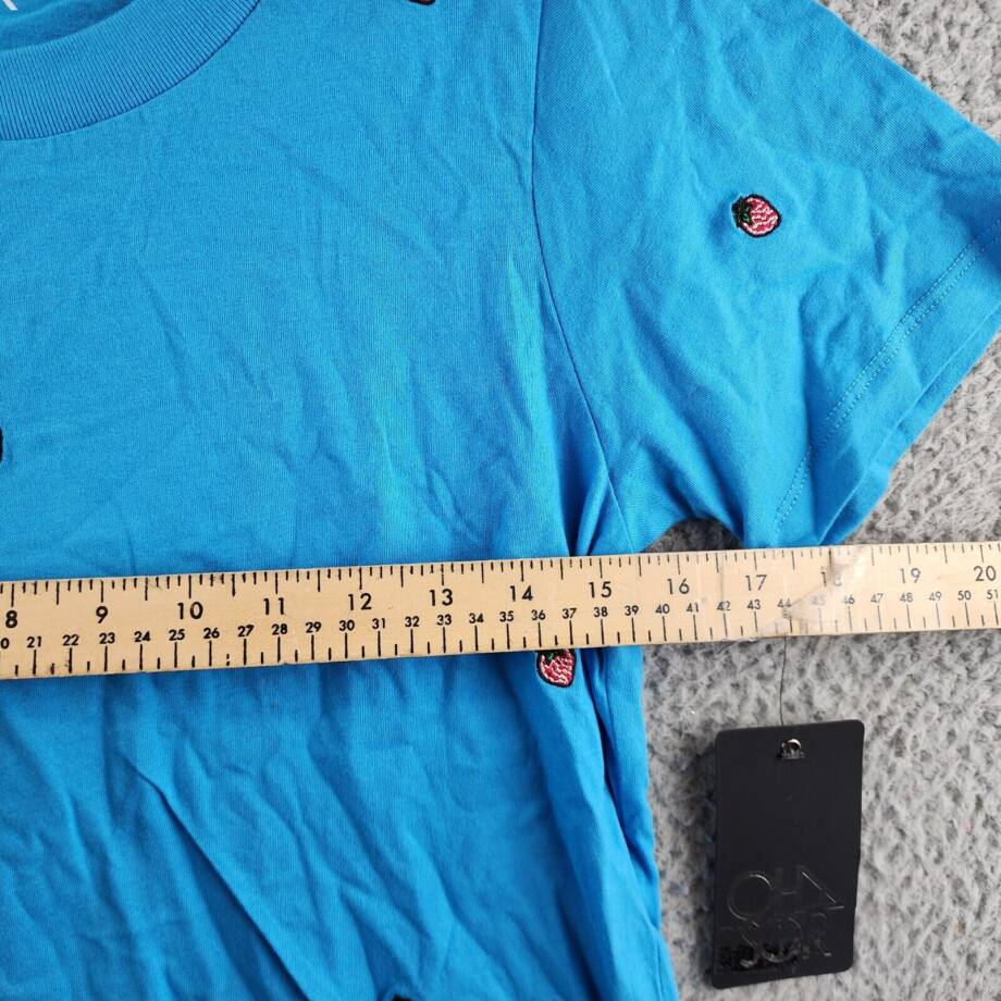 CHASER Embroidered Strawberries T-shirt Women's S Blue Short Sleeve Pullover