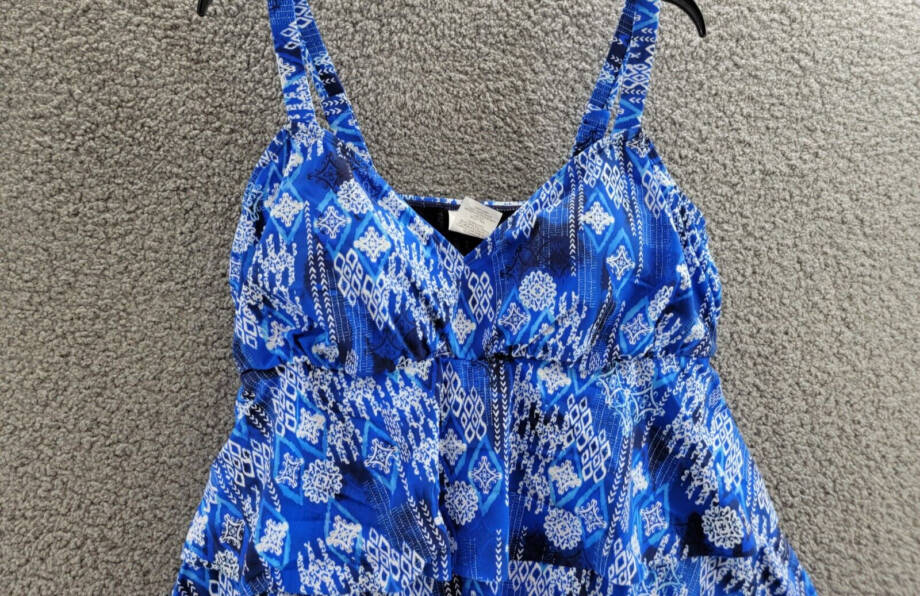 ShapeSolver by Penbrooke Plus Size Triple Tier Swim Dress Women's 18W Blue/White
