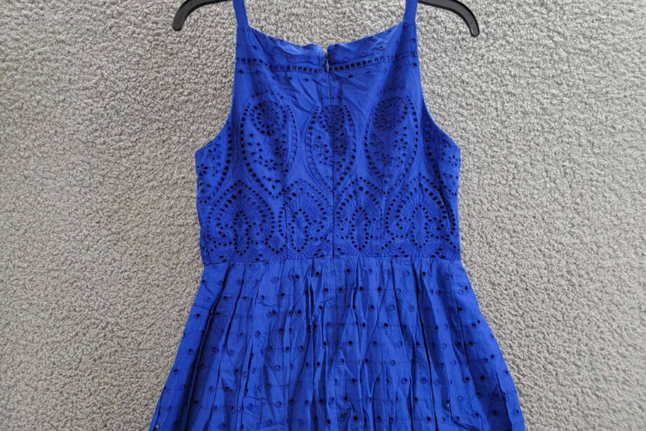 Charter Club Lace Dress Women's 4 Modern Blue Straight Neck Back Zip Closure