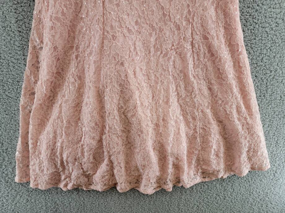 SLNY Sequin Lace Midi Dress Women's 14 Light Pink Illusion Round Neck Button Zip