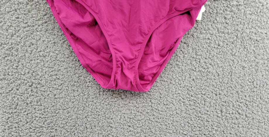 Anne Cole Plus Size High-Waist Bikini Bottoms Women's 20W Berry Pull On Style