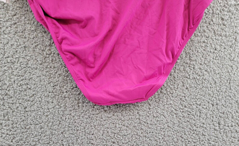 Anne Cole Plus Size High-Waist Bikini Bottoms Women's 20W Berry Pull On Style