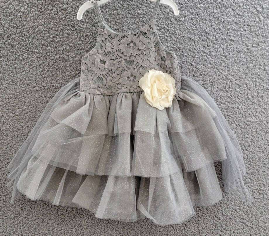 Pink & Violet Sleeveless Lace Glitter Mesh Dress Toddler Girls 3 Gray Pullover