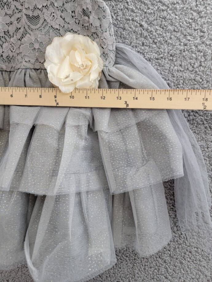 Pink & Violet Sleeveless Lace Glitter Mesh Dress Toddler Girls 3 Gray Pullover