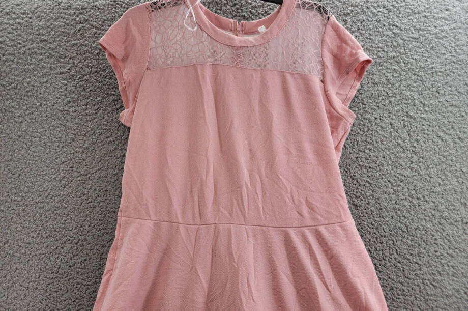 NY Collection Lace-Trim Fit & Flare Dress Women's L Pink Short Sleeve Back Zip