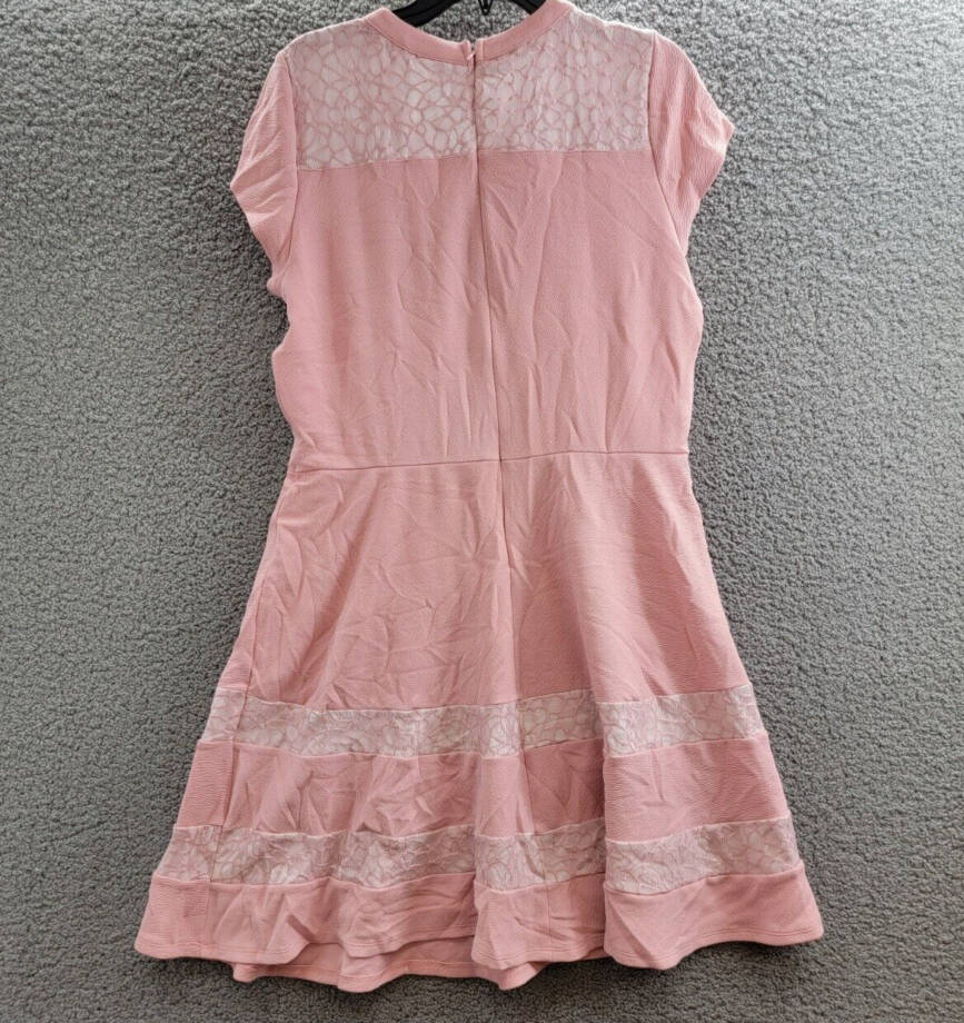 NY Collection Lace-Trim Fit & Flare Dress Women's L Pink Short Sleeve Back Zip
