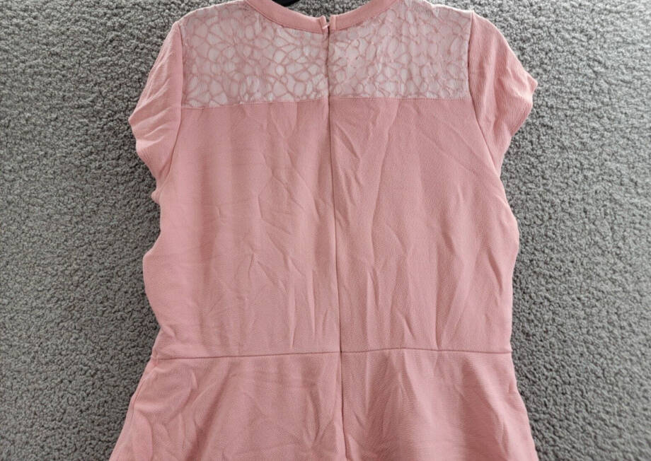 NY Collection Lace-Trim Fit & Flare Dress Women's L Pink Short Sleeve Back Zip