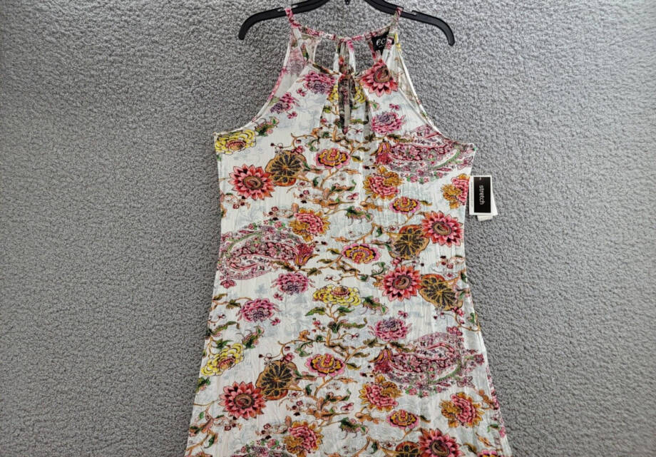 Eci New York Printed Maxi Dress Women's XL Ivory/Pink Halter Neck Back Tie