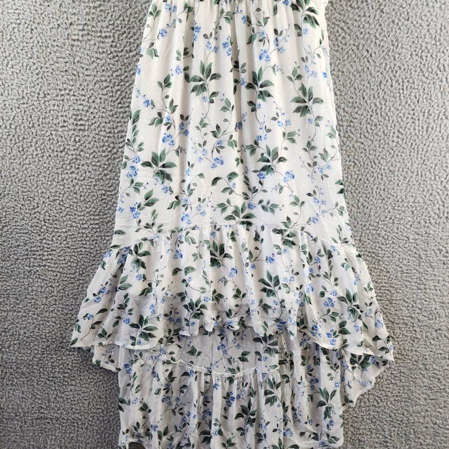 NY Collection Petite High Low Hem Chiffon Dress Women's PL Ivory Blue Floral