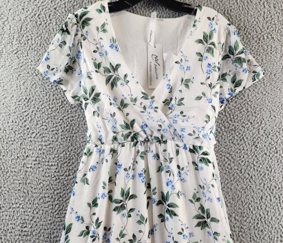 NY Collection Petite High Low Hem Chiffon Dress Women's PL Ivory Blue Floral