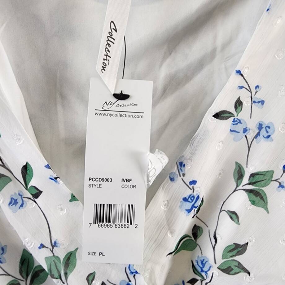 NY Collection Petite High Low Hem Chiffon Dress Women's PL Ivory Blue Floral