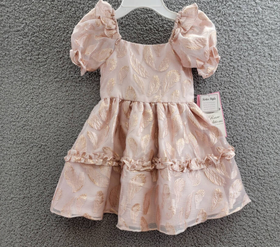 Rare Editions Puff-Sleeve Burnout Organza Dress Toddler & Little Girl 4T/4 Blush