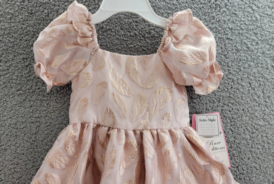 Rare Editions Puff-Sleeve Burnout Organza Dress Toddler & Little Girl 4T/4 Blush