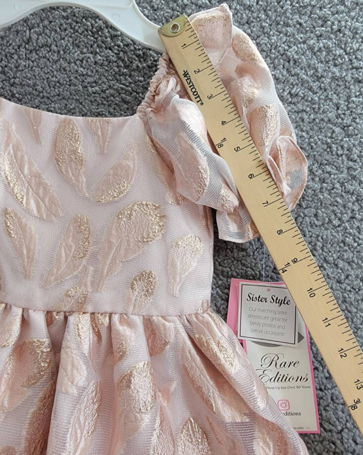 Rare Editions Puff-Sleeve Burnout Organza Dress Toddler & Little Girl 4T/4 Blush