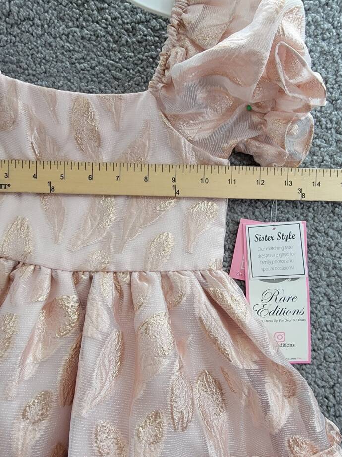 Rare Editions Puff-Sleeve Burnout Organza Dress Toddler & Little Girl 4T/4 Blush