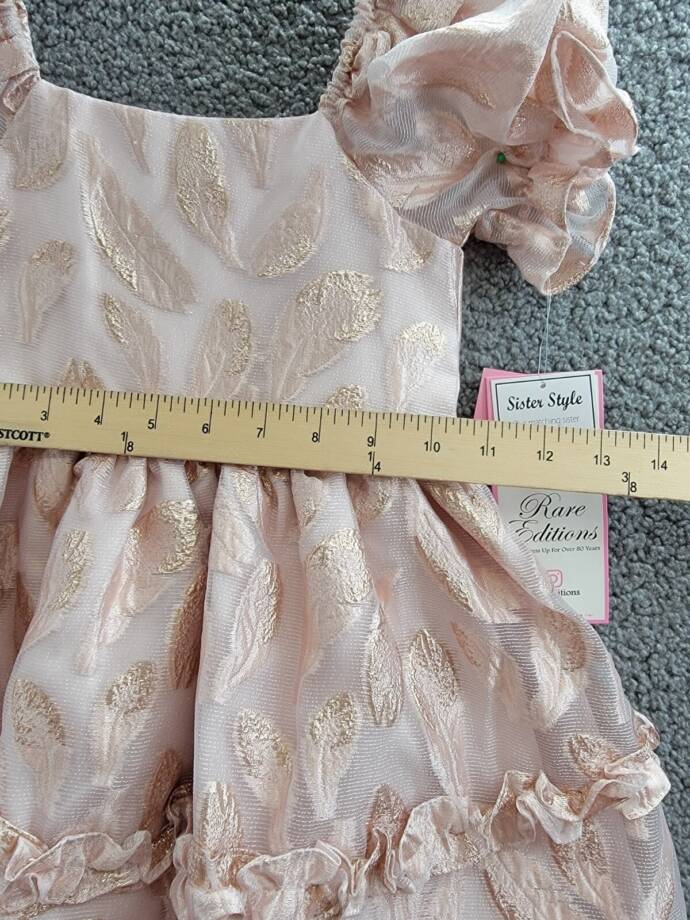 Rare Editions Puff-Sleeve Burnout Organza Dress Toddler & Little Girl 4T/4 Blush