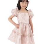 Rare Editions Puff-Sleeve Burnout Organza Dress Girls 6X Blush Back Zip Closure