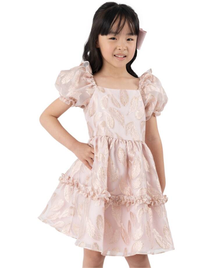 Rare Editions Puff-Sleeve Burnout Organza Dress Girls 6X Blush Back Zip Closure