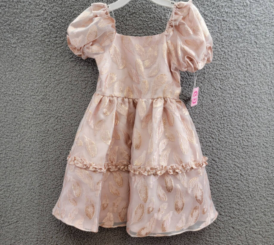Rare Editions Puff-Sleeve Burnout Organza Dress Girls 6X Blush Back Zip Closure
