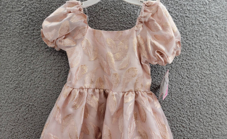 Rare Editions Puff-Sleeve Burnout Organza Dress Girls 6X Blush Back Zip Closure