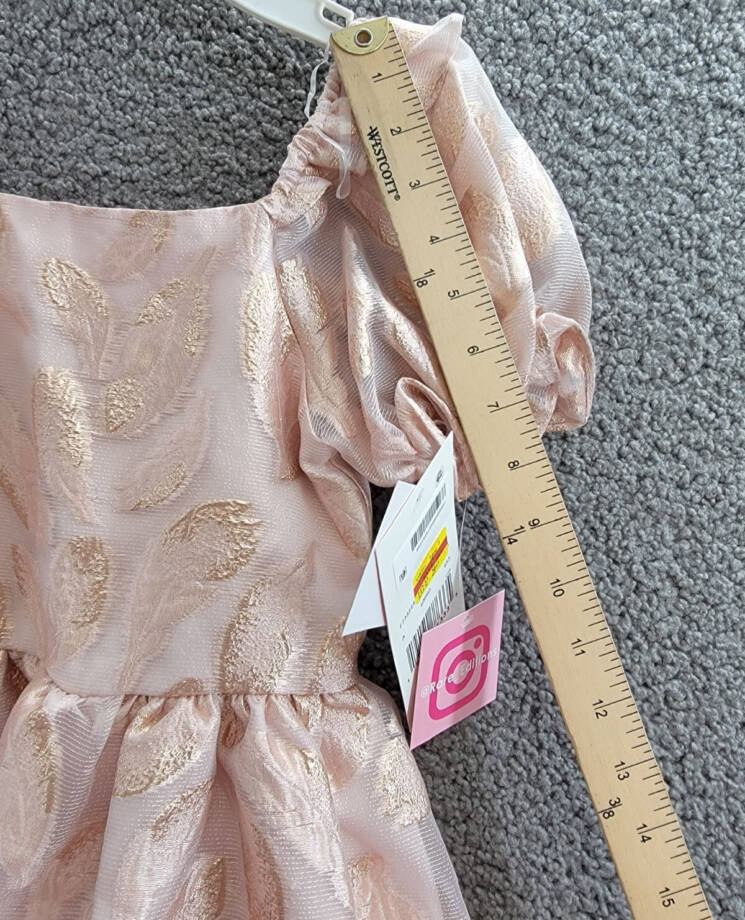 Rare Editions Puff-Sleeve Burnout Organza Dress Girls 6X Blush Back Zip Closure