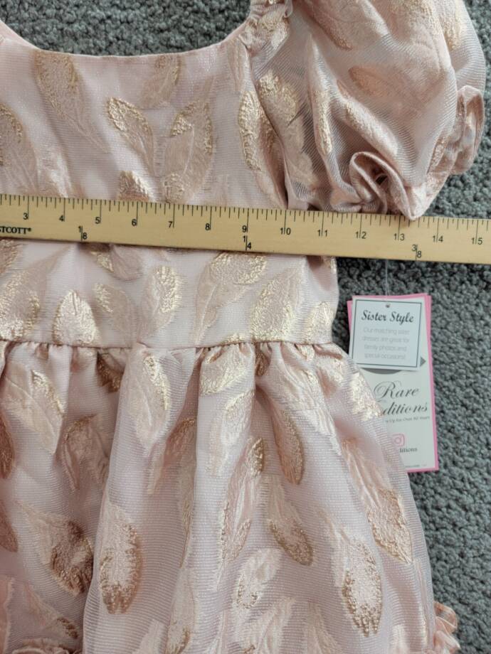 Rare Editions Puff-Sleeve Burnout Organza Dress Girls 6X Blush Back Zip Closure