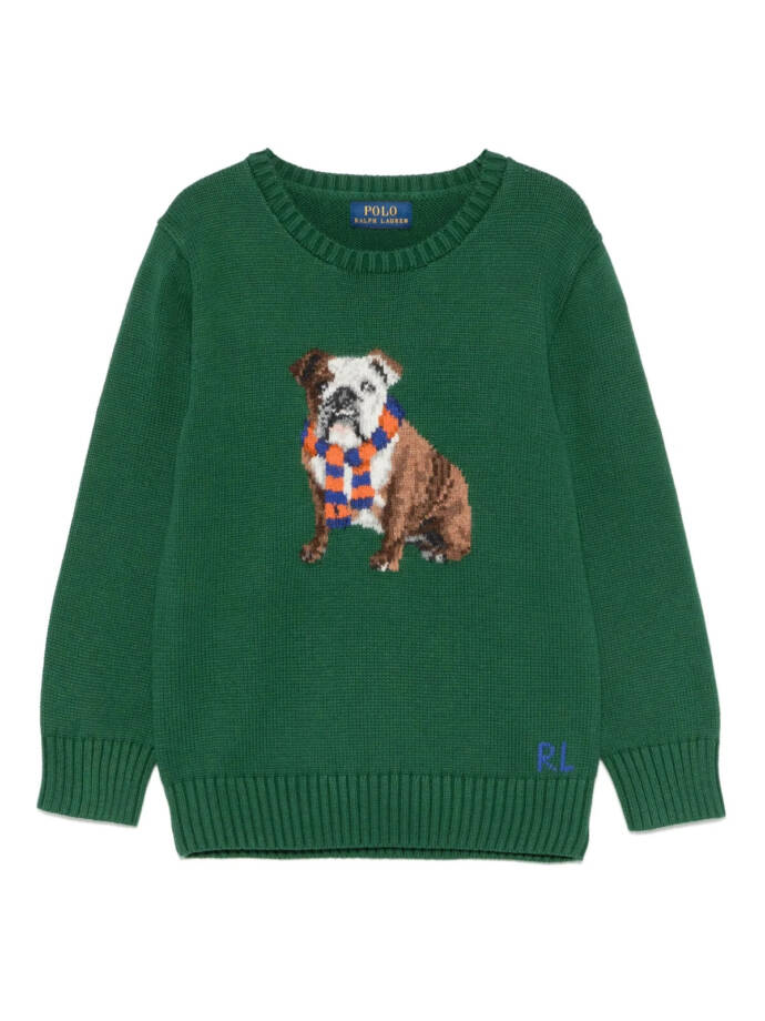Ralph Lauren Dog-Intarsia Crewneck Sweater Baby Boys' 9M Green Long Sleeve