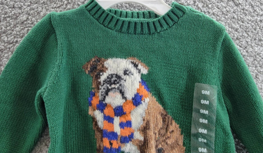 Ralph Lauren Dog-Intarsia Crewneck Sweater Baby Boys' 9M Green Long Sleeve