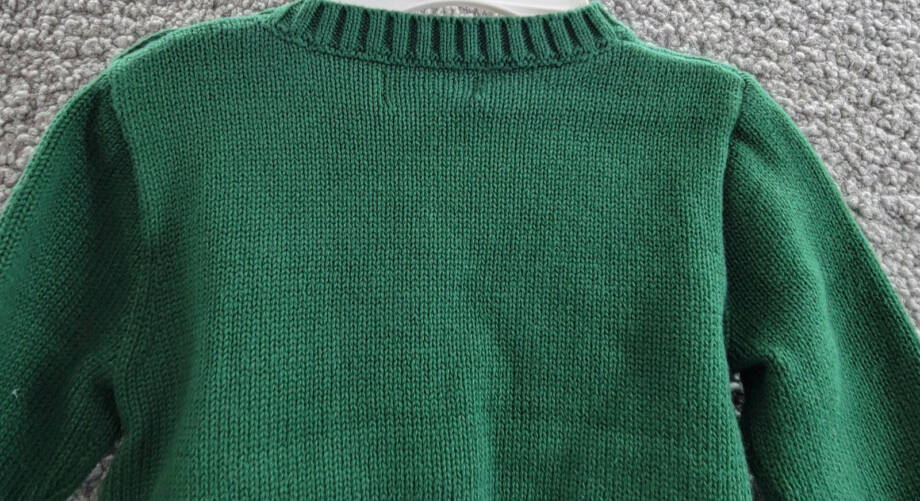 Ralph Lauren Dog-Intarsia Crewneck Sweater Baby Boys' 9M Green Long Sleeve