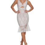 GUESS Embroidered Mesh Sleeveless Sheath Dress Women's 10 White/Nude Back Zip