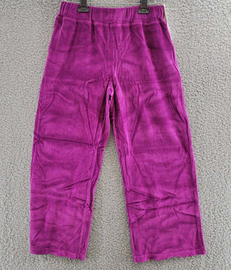 Wilt Velour Wide Leg Pants Women's Small Magnolia Solid Elastic Waist Pull On
