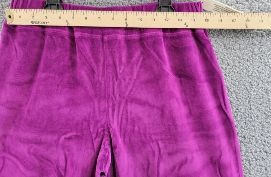 Wilt Velour Wide Leg Pants Women's Small Magnolia Solid Elastic Waist Pull On