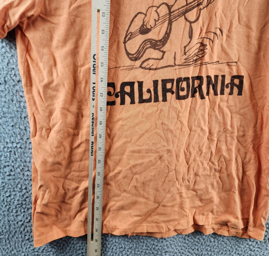 Junk Food Clothing Snoopy California Vintage T-Shirt Men's XL Copper Tan S/S