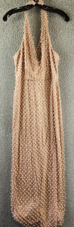 Liv Foster Pearl On Mesh Column Gown Women's 4 Pink Sleeveless Back Zip Closure~