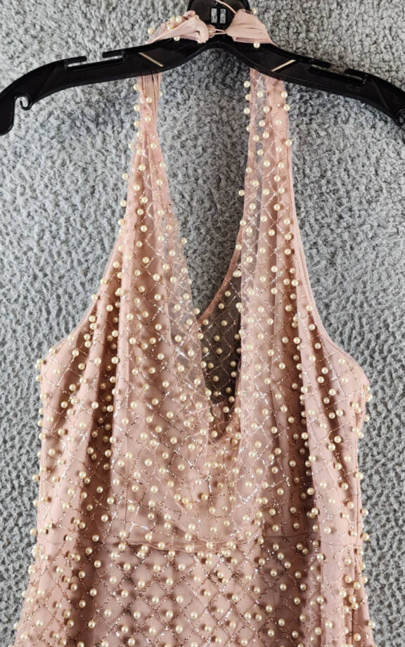 Liv Foster Pearl On Mesh Column Gown Women's 4 Pink Sleeveless Back Zip Closure~
