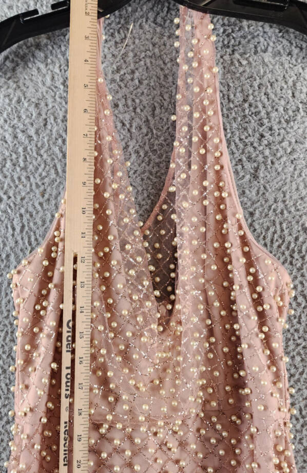 Liv Foster Pearl On Mesh Column Gown Women's 4 Pink Sleeveless Back Zip Closure~