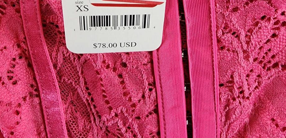 Free People Lace Night Rhythm Bodysuit Women's XS Raspberry Sorbet Hook-And-Eye